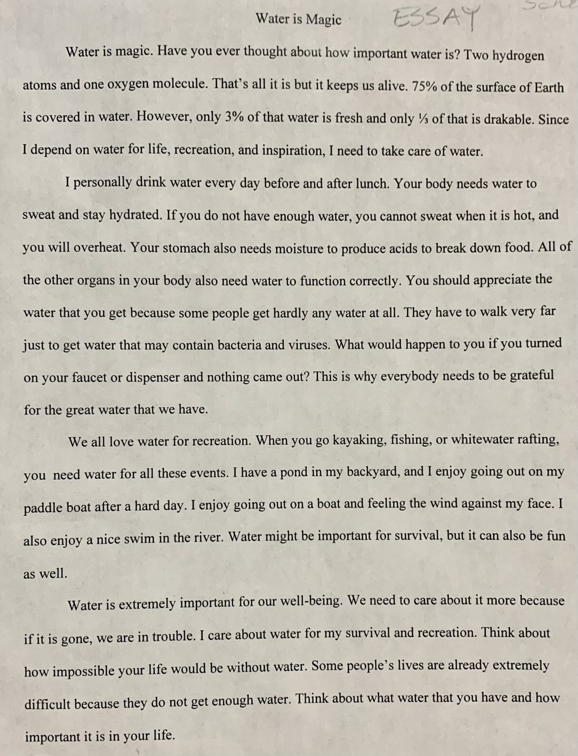 Fox carolina dinosaur essay contest 07 picture